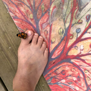 Butterfly on my toe
