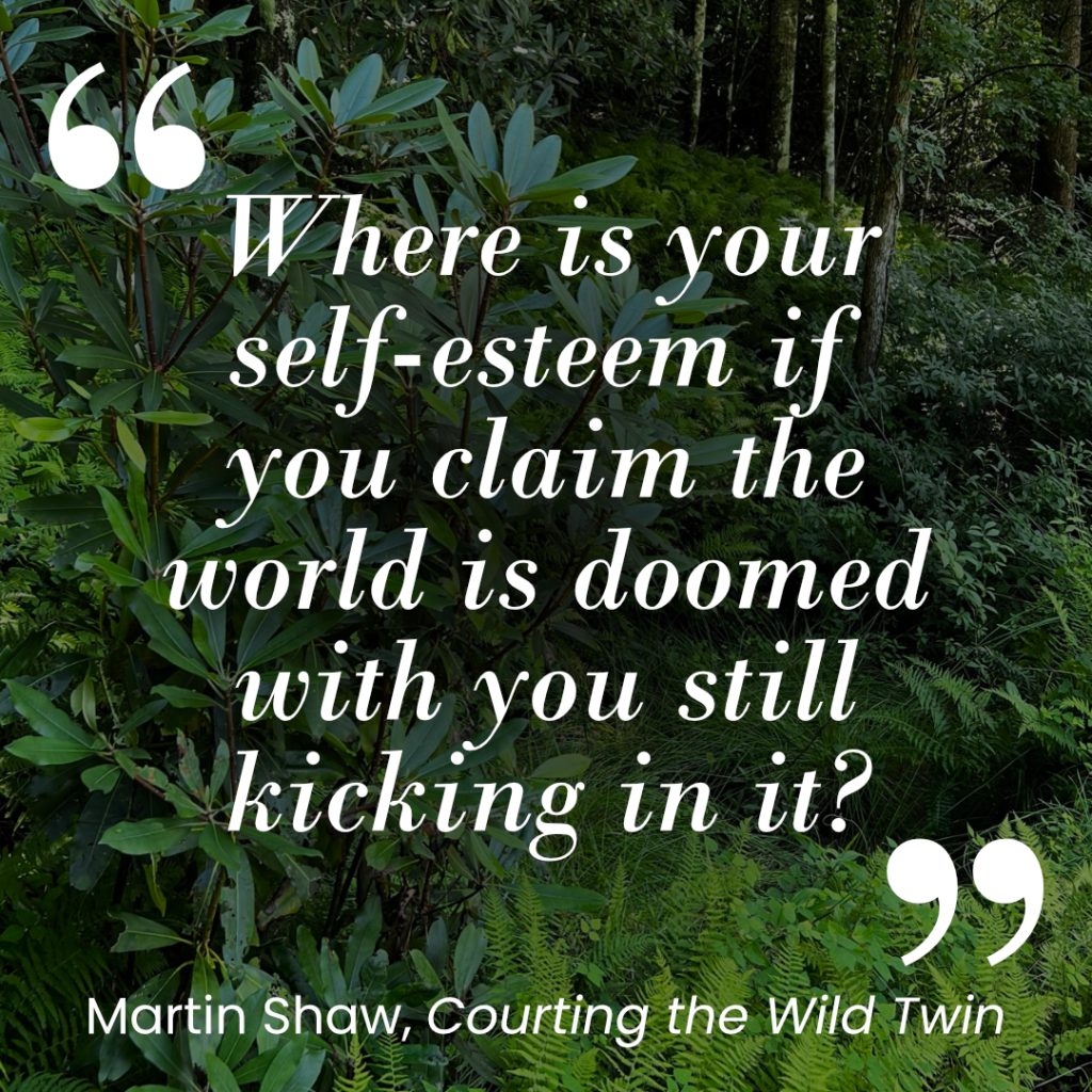 "Where is your self-esteem if you claim the world is doomed with you still kicking it it?" Martin Shaw, Courting the Wild Twin